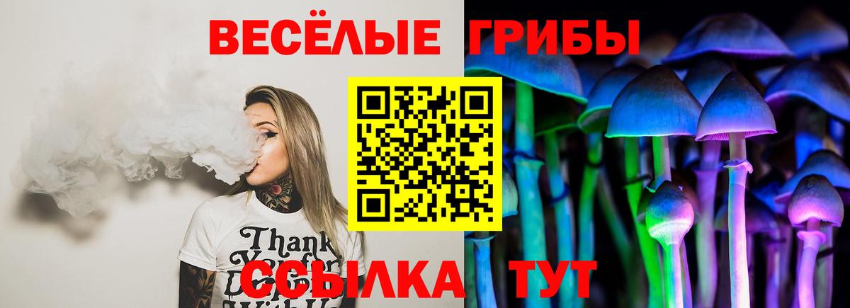 Галлюциногенные грибы мицелий Красный Сулин